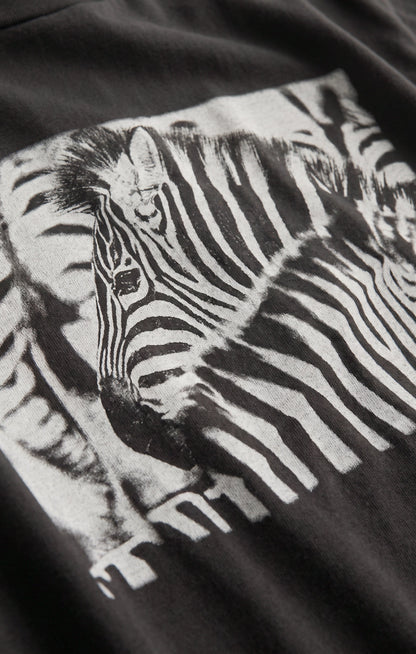 Zebra Graphic Boyfriend Tee